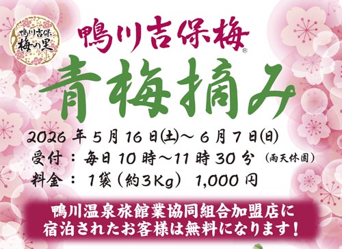 鴨川吉保梅の里
